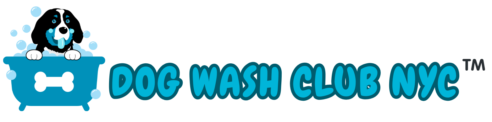 Dog Wash Club NYC