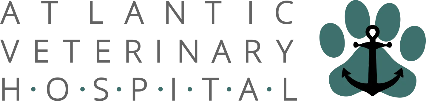Atlantic Animal Hospital