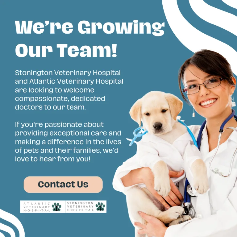 Atlantic Animal Hospital photo 4