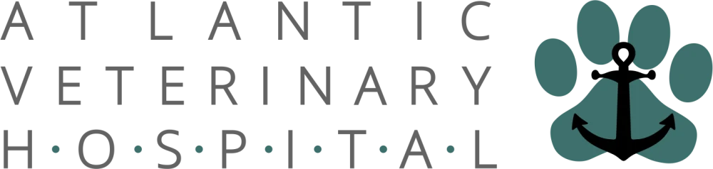 Atlantic Animal Hospital logo