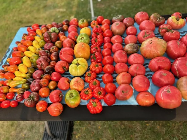 Charlestown Land Trust Farmers Market photo 6
