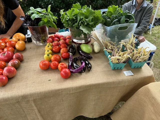 Charlestown Land Trust Farmers Market photo 7