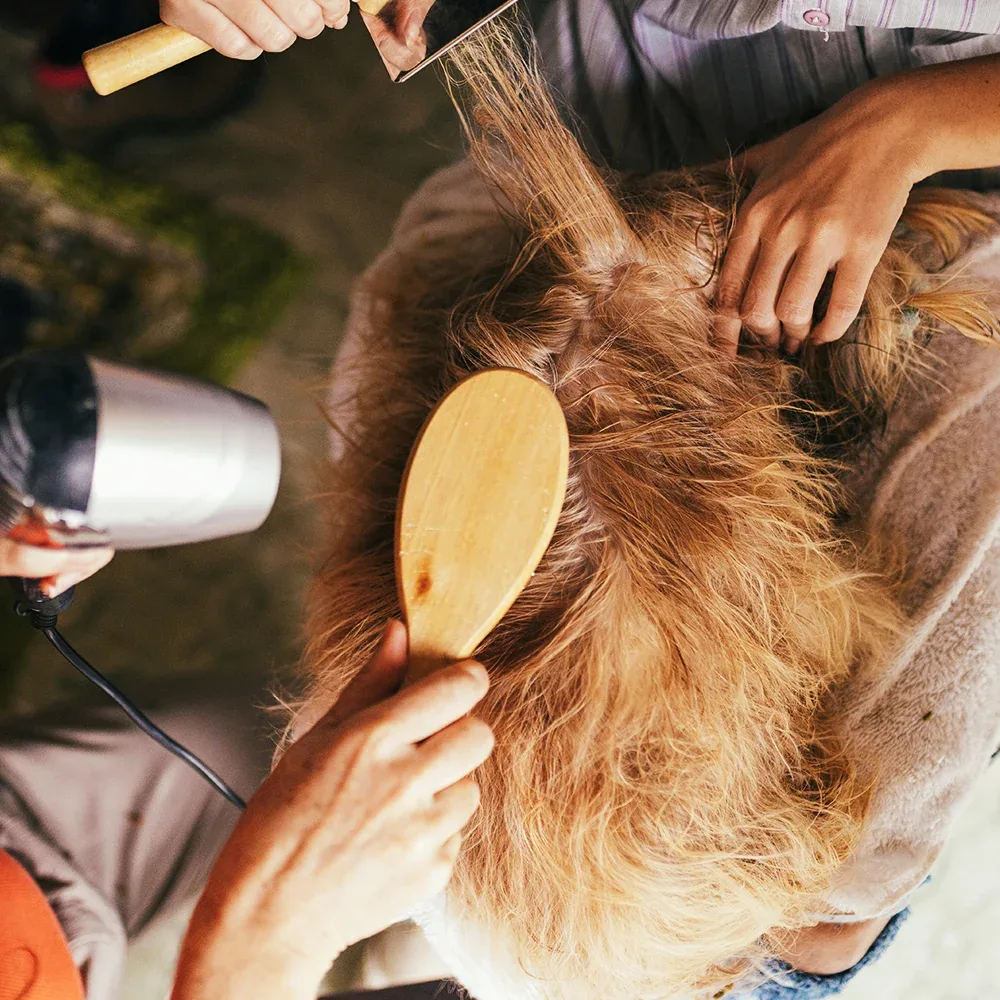 PETIQUE SALON INC photo 4