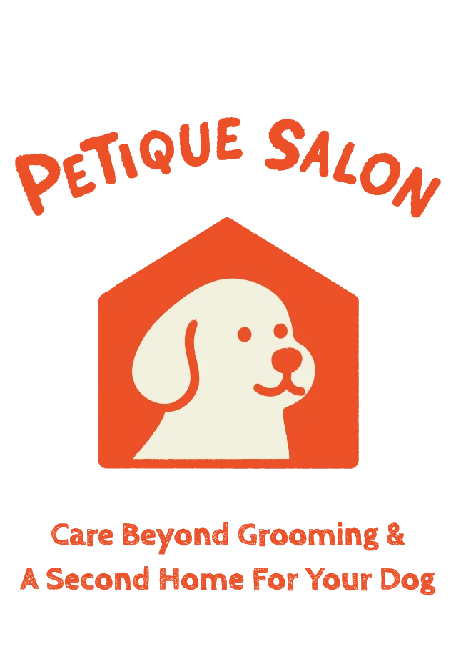 PETIQUE SALON INC