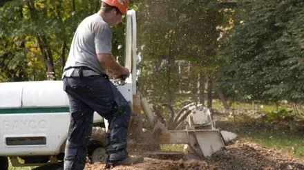 Rocky's Tree Service photo 5