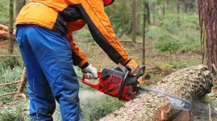Rocky's Tree Service photo 6