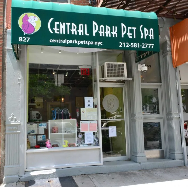 Central Park Pet Spa photo 3