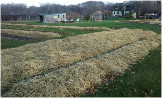 Earth Care Farm photo 6