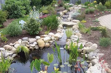 Gray Line Landscape/Hardscapes & Son photo 3