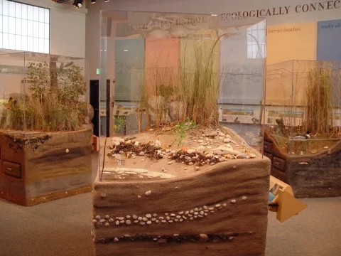 Kettle Pond Visitor Center photo 5