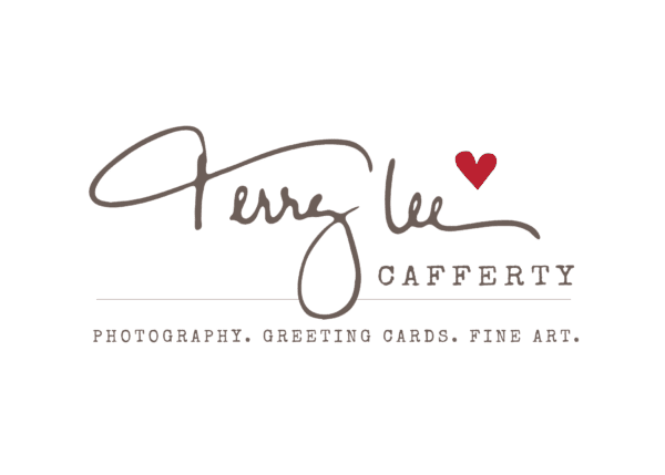 Lovesome Images Portrait Design Studio