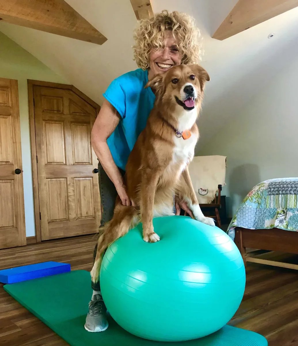 Rhode Island Pet Rehab photo 9