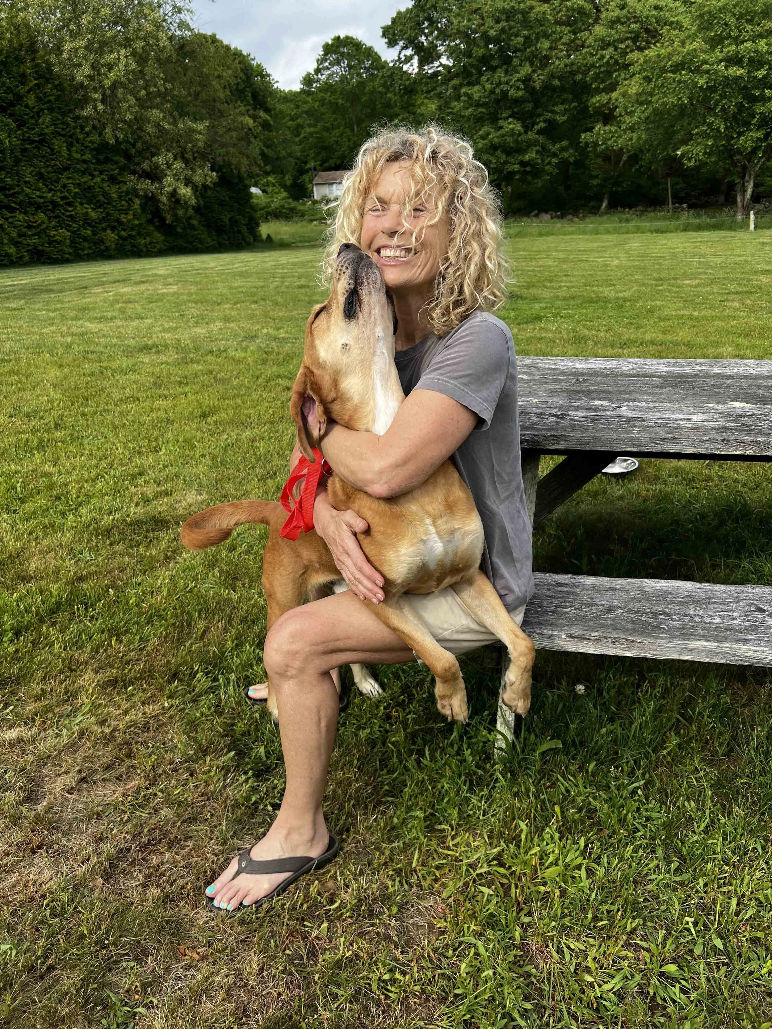 Rhode Island Pet Rehab photo 2