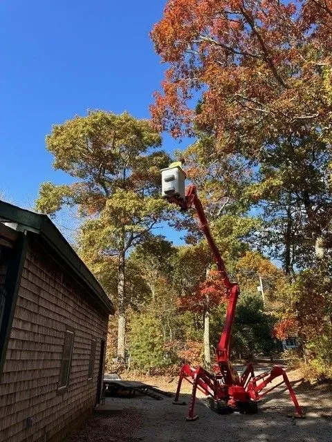 Tree Works Unlimited photo 5