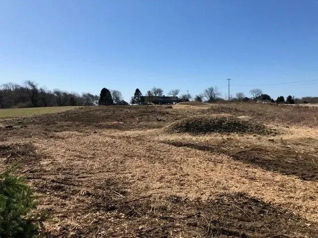 Tree Works Unlimited photo 9