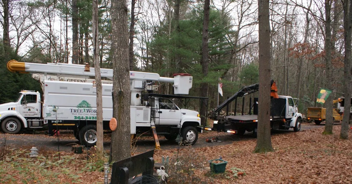 Tree Works Unlimited