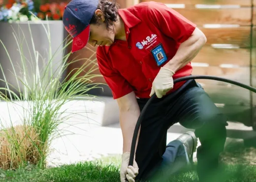 Mr. Rooter Plumbing of New Orleans photo 11