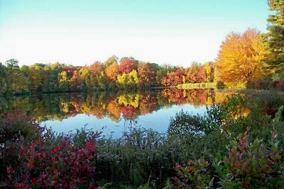 Blueberry Pointe on the Lake photo 4