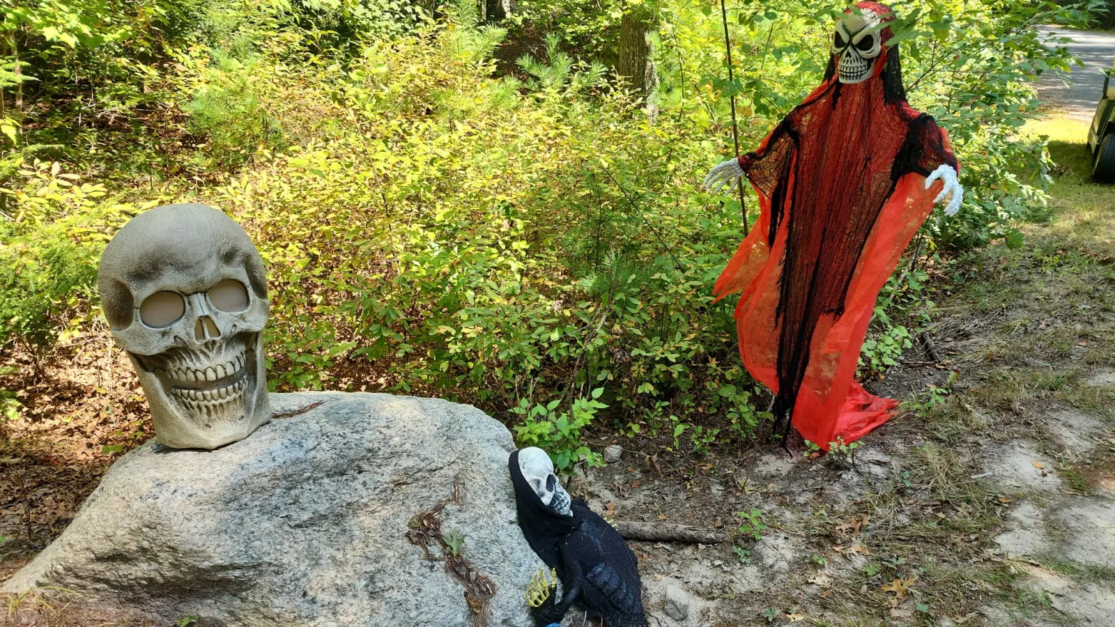 Bowdish Lake Camping Area photo 6