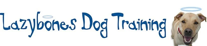 Lazybones Dog Training photo 2