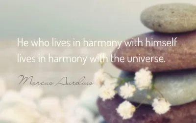 Healing In Harmony Wellness photo 5