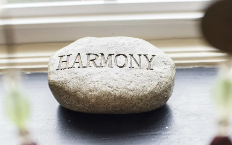 Healing In Harmony Wellness photo 7