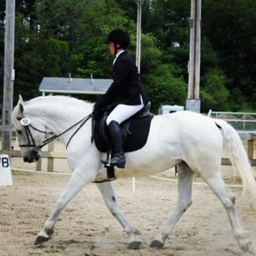 EnShanting Allie Stables photo 9