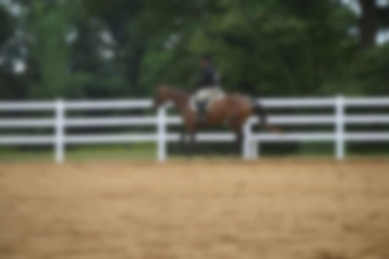 EnShanting Allie Stables photo 5