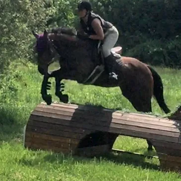 EnShanting Allie Stables photo 8
