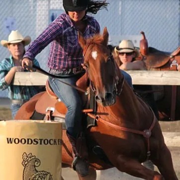 EnShanting Allie Stables photo 7