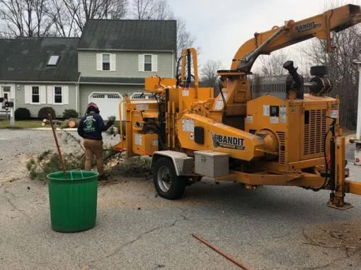 Mike's Professional Tree Service photo 4