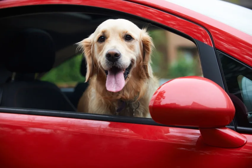 Fallon Insurance Agency