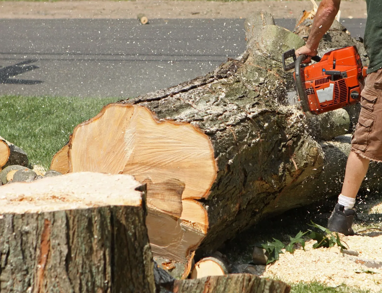 Warwick Tree Service Inc photo 11