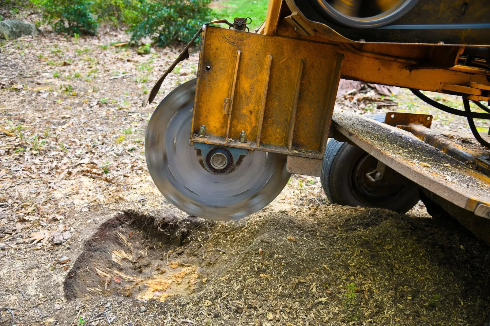 Warwick Tree Service Inc photo 4