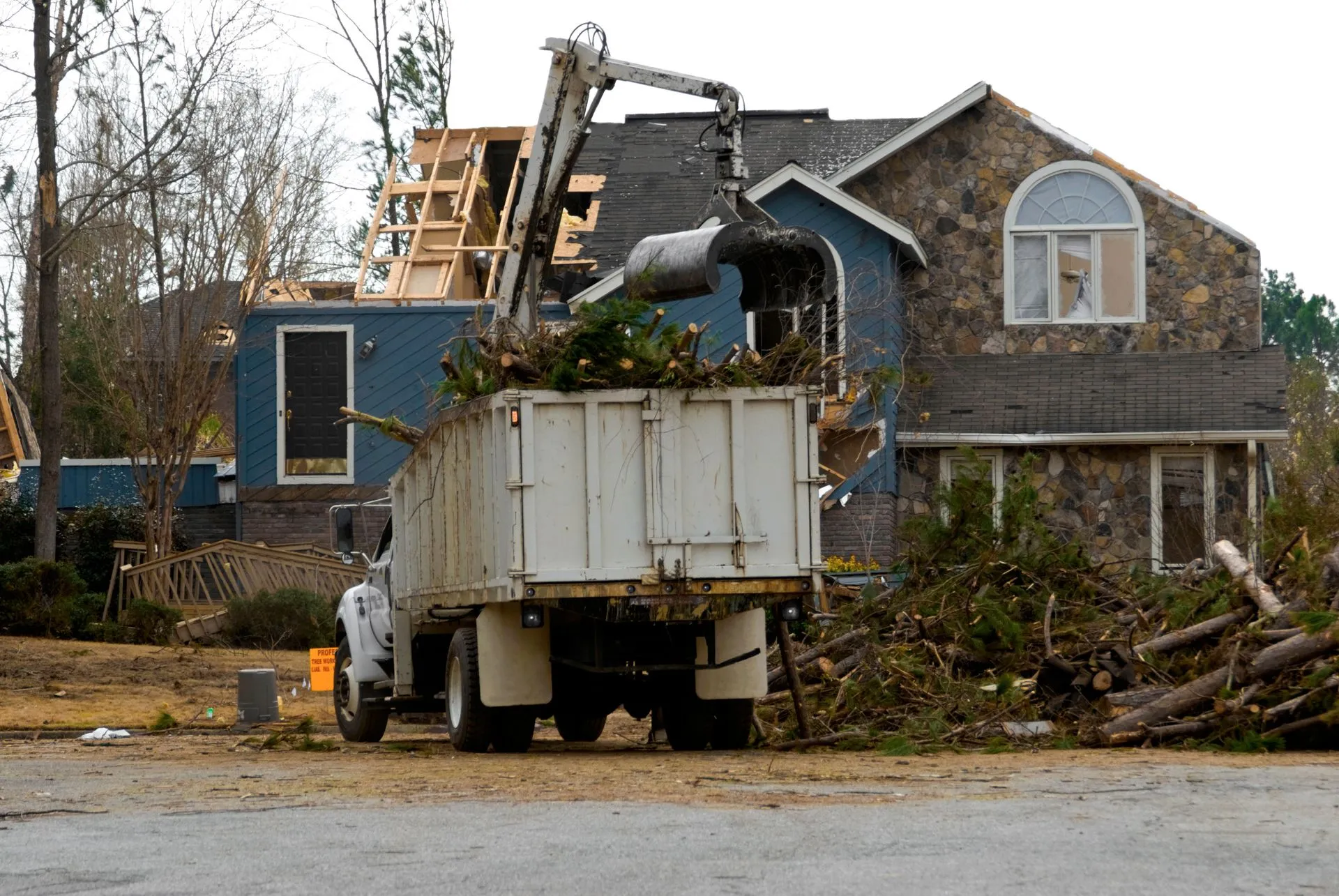 Warwick Tree Service Inc photo 2