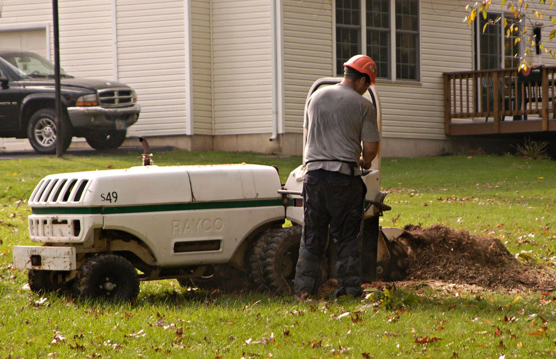 Warwick Tree Service Inc photo 3