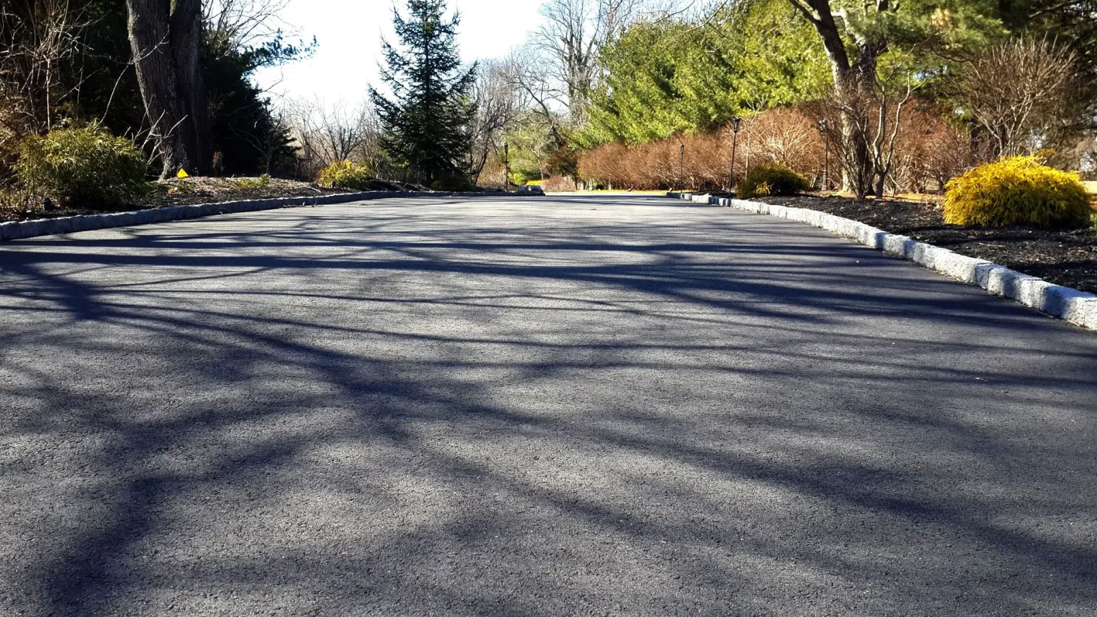 M & M Paving and Landscaping Inc photo 8