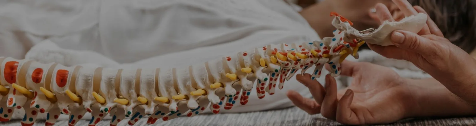 Decubellis Family Chiropractic