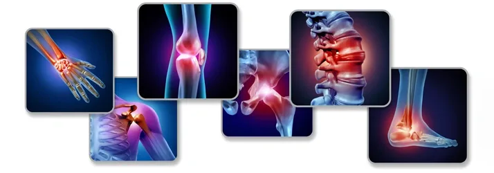 Four Winds Chiropractic photo 9