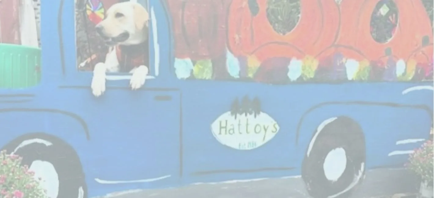 Hattoy's Nursery & Garden Center photo 2