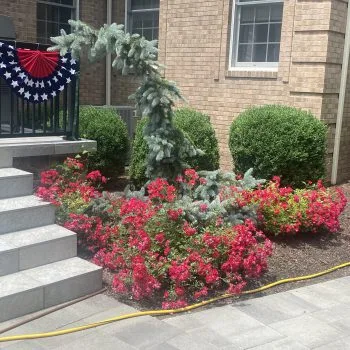 Horizon Landscaping photo 3