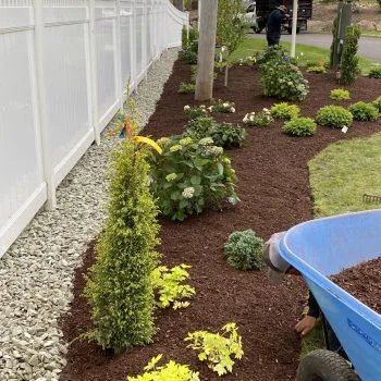 Horizon Landscaping photo 11