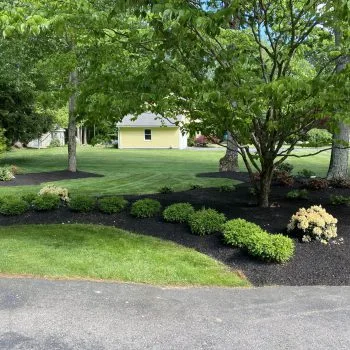 Horizon Landscaping photo 7