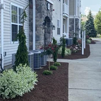 Horizon Landscaping photo 4