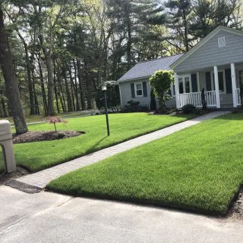Horizon Landscaping photo 6