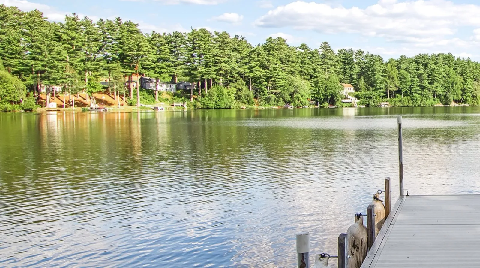 Luxury Real Estate Media photo 6