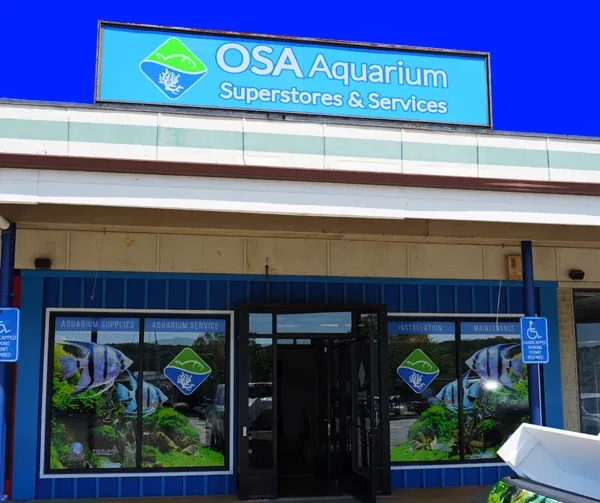 OSA Aquarium Superstore and Services photo 10
