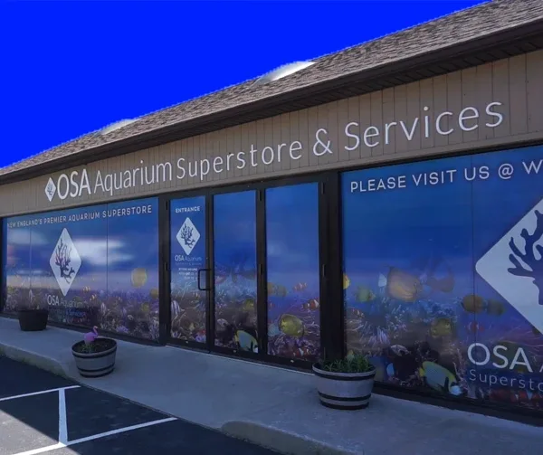 OSA Aquarium Superstore and Services photo 9