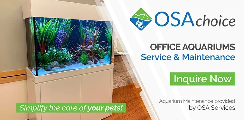 OSA Aquarium Superstore and Services photo 11