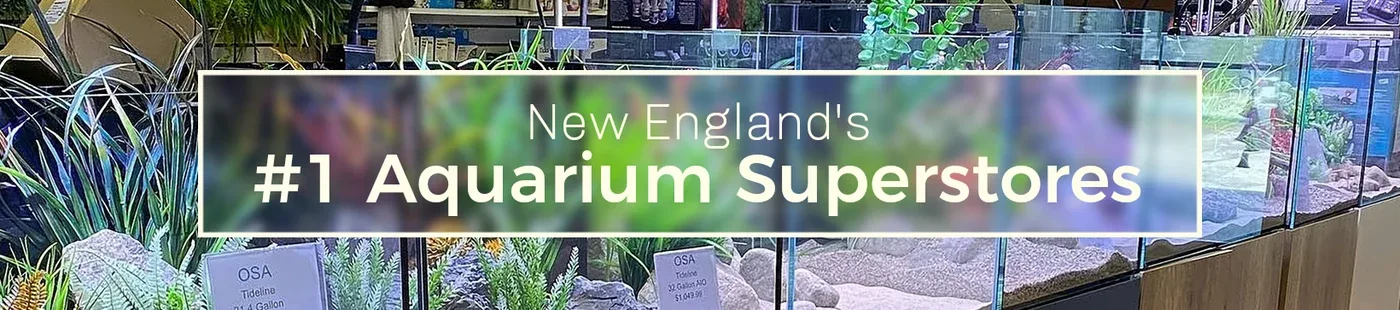 OSA Aquarium Superstore and Services photo 8